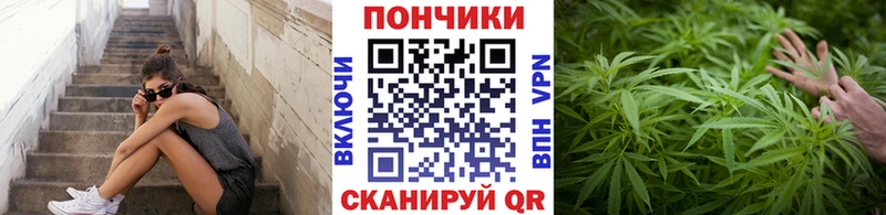 Названия наркотиков Катайск Бошки Шишки  Мефедрон  Галлюциногенные грибы  ГАШ 
