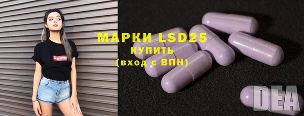 индика Алзамай