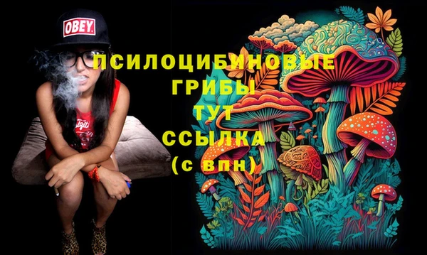 твердый Алексин