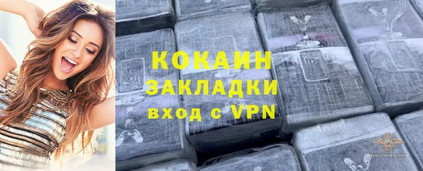 твердый Алексин
