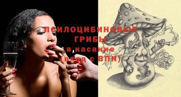 индика Алзамай