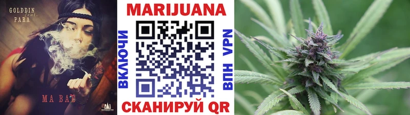 Бошки Шишки сатива Катайск